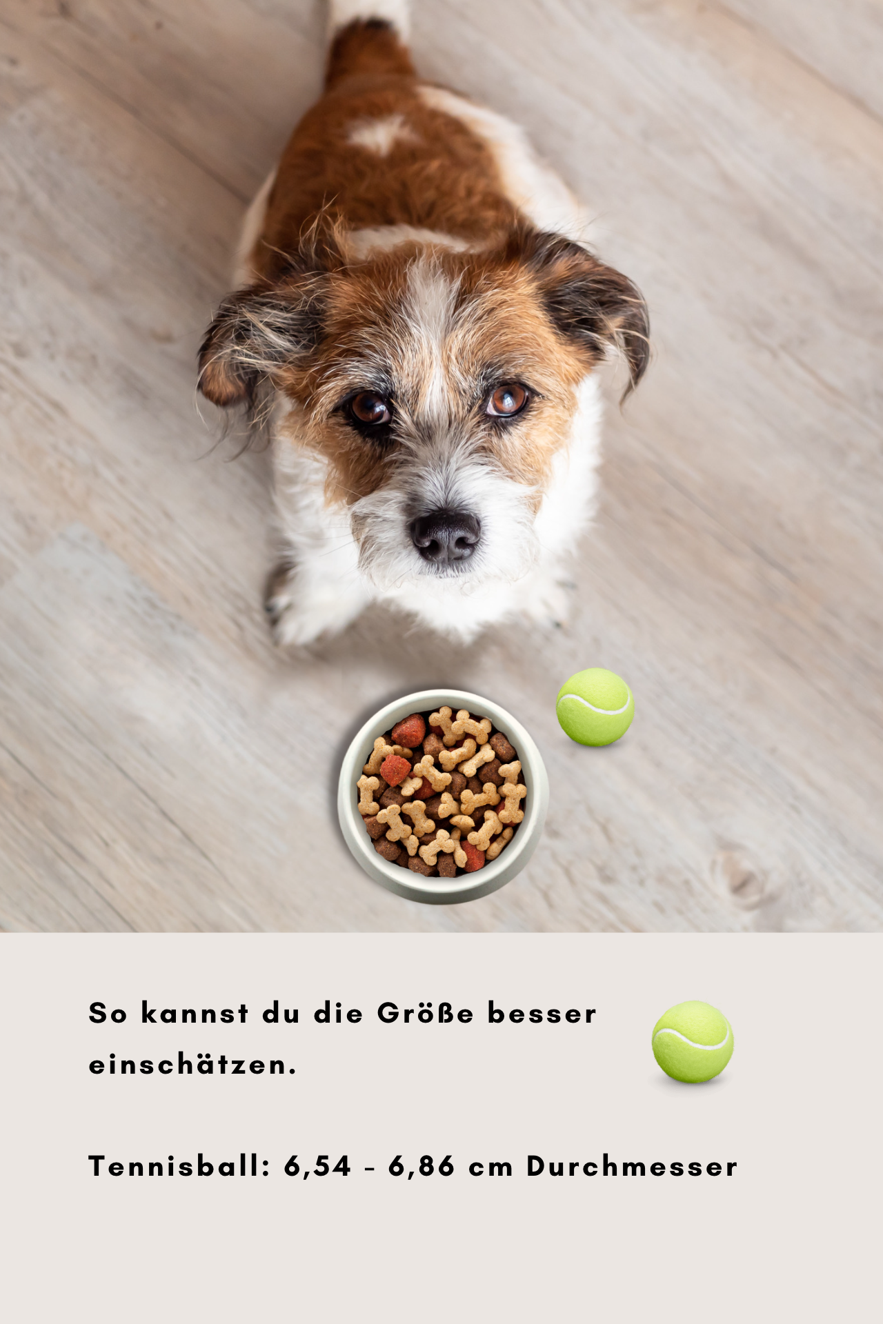 hundenapf groessenvergleich anhand eines tennisballs