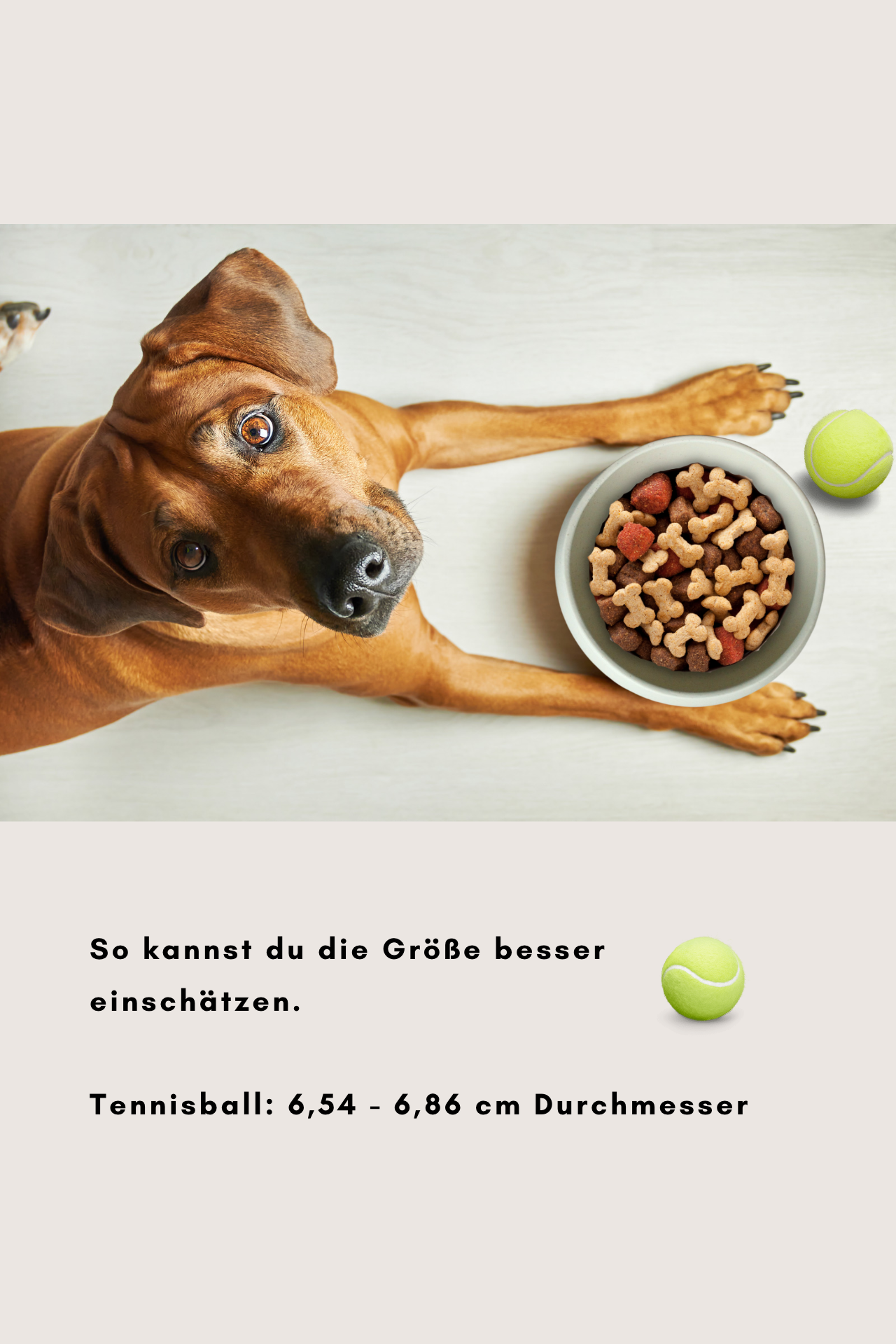 hundenapf in cremeweiss von hejmo groessenvergleich tennisball