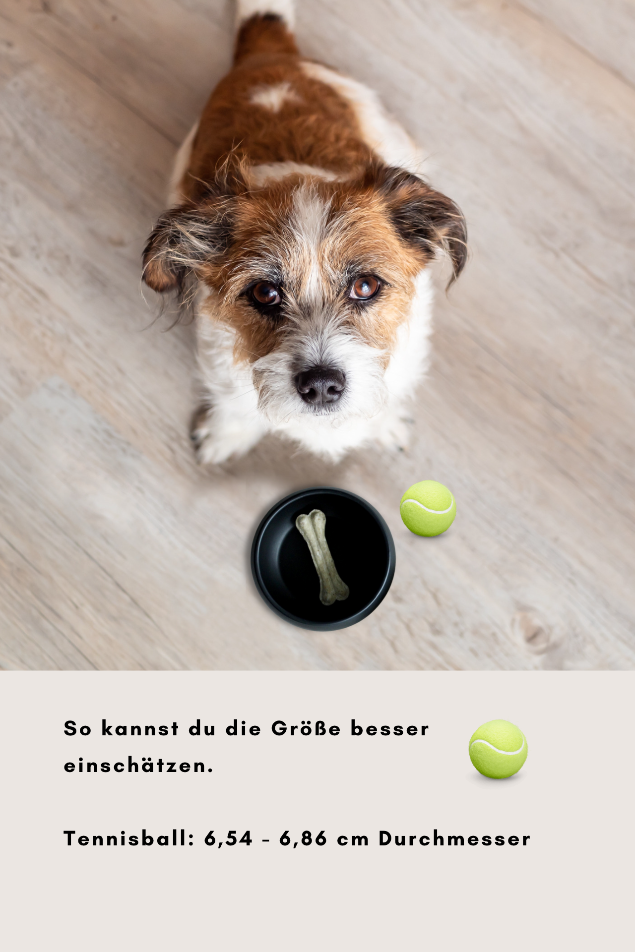 schwarzer hundenapf aus keramik mit bauchiger form von hej.mo