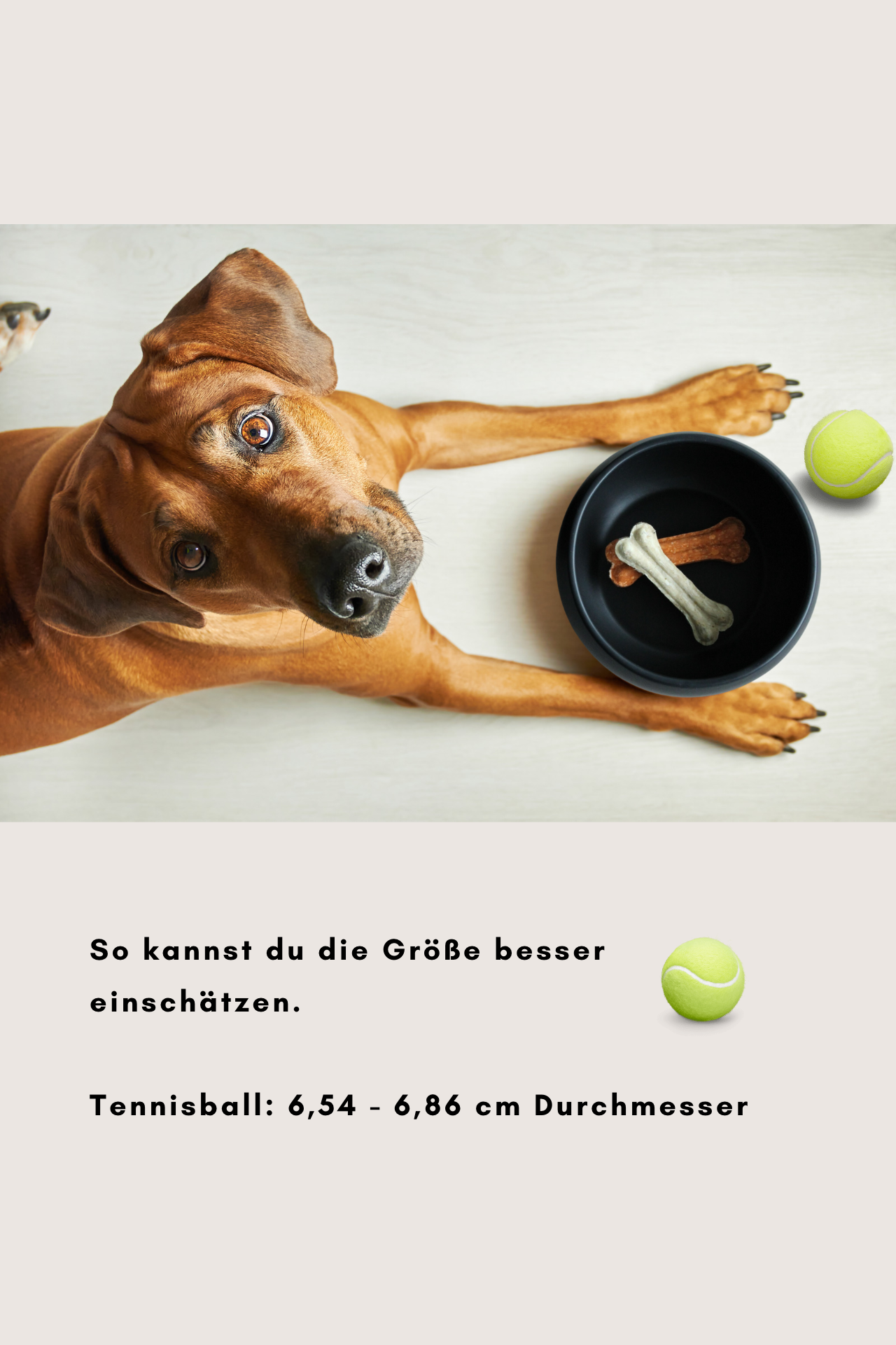 napfgroesse grosser hund tennisball vergleich