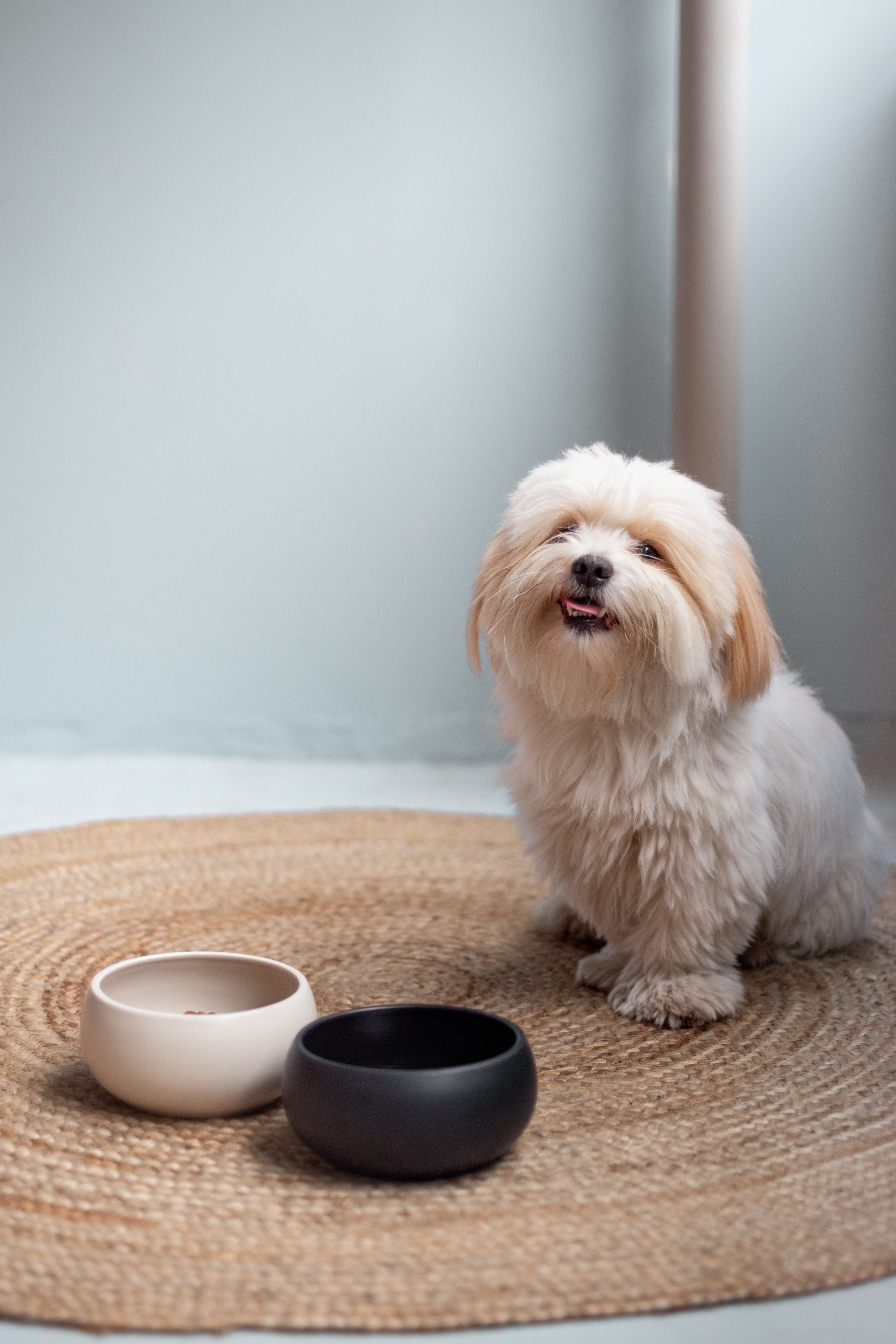 Hundenapf MOLLY aus Keramik | Creme Beige | Klein 0,9 Liter