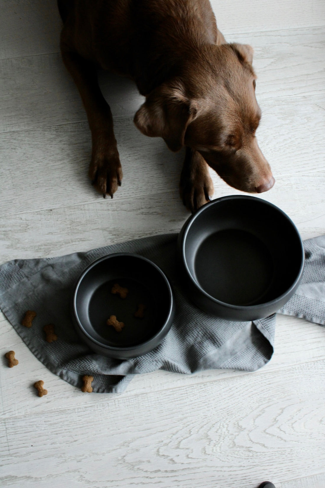 schwarze hundenaepfe aus keramik mit bauchiger form von hej.mo