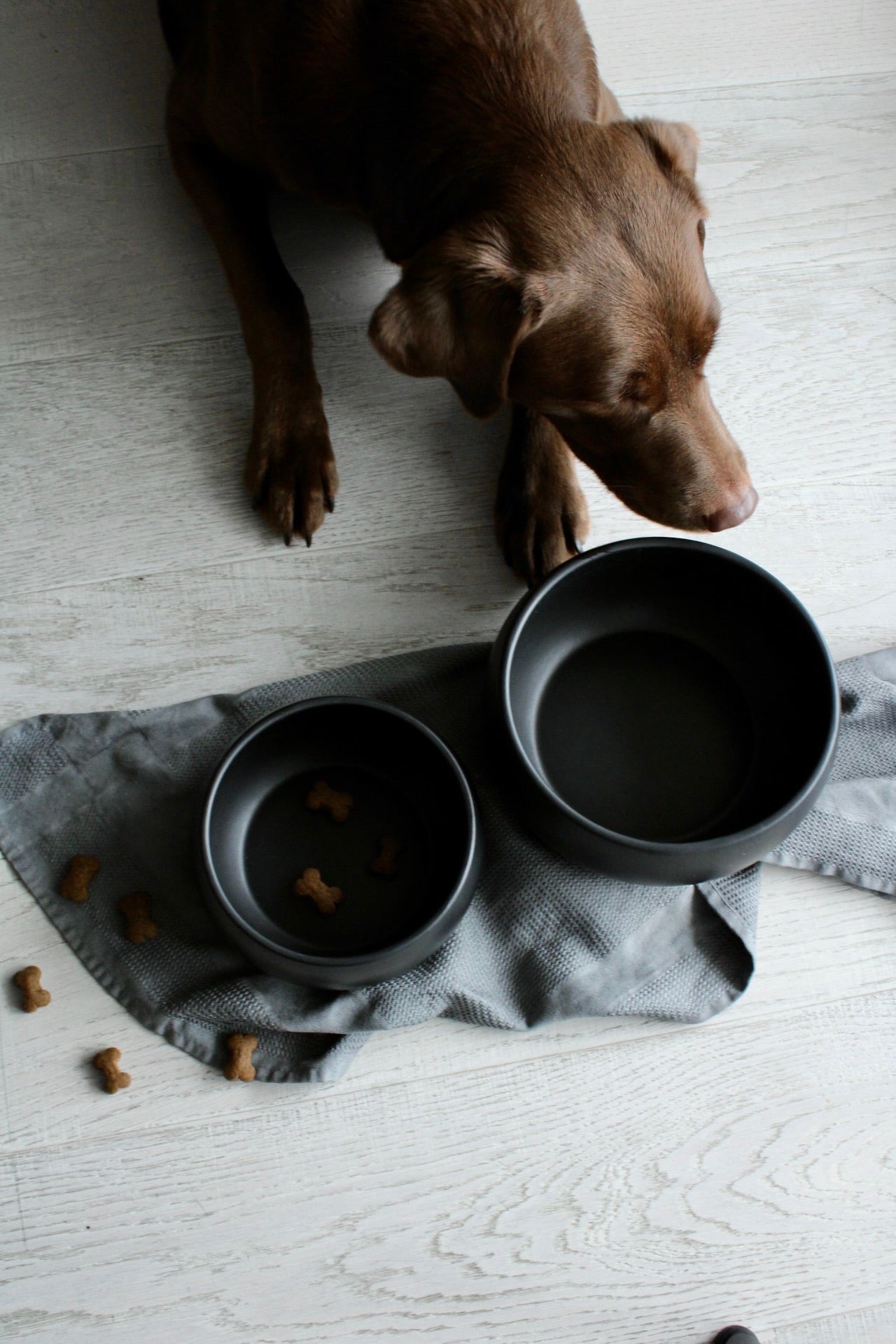 schwarze hundenaepfe aus keramik mit bauchiger form von hej.mo