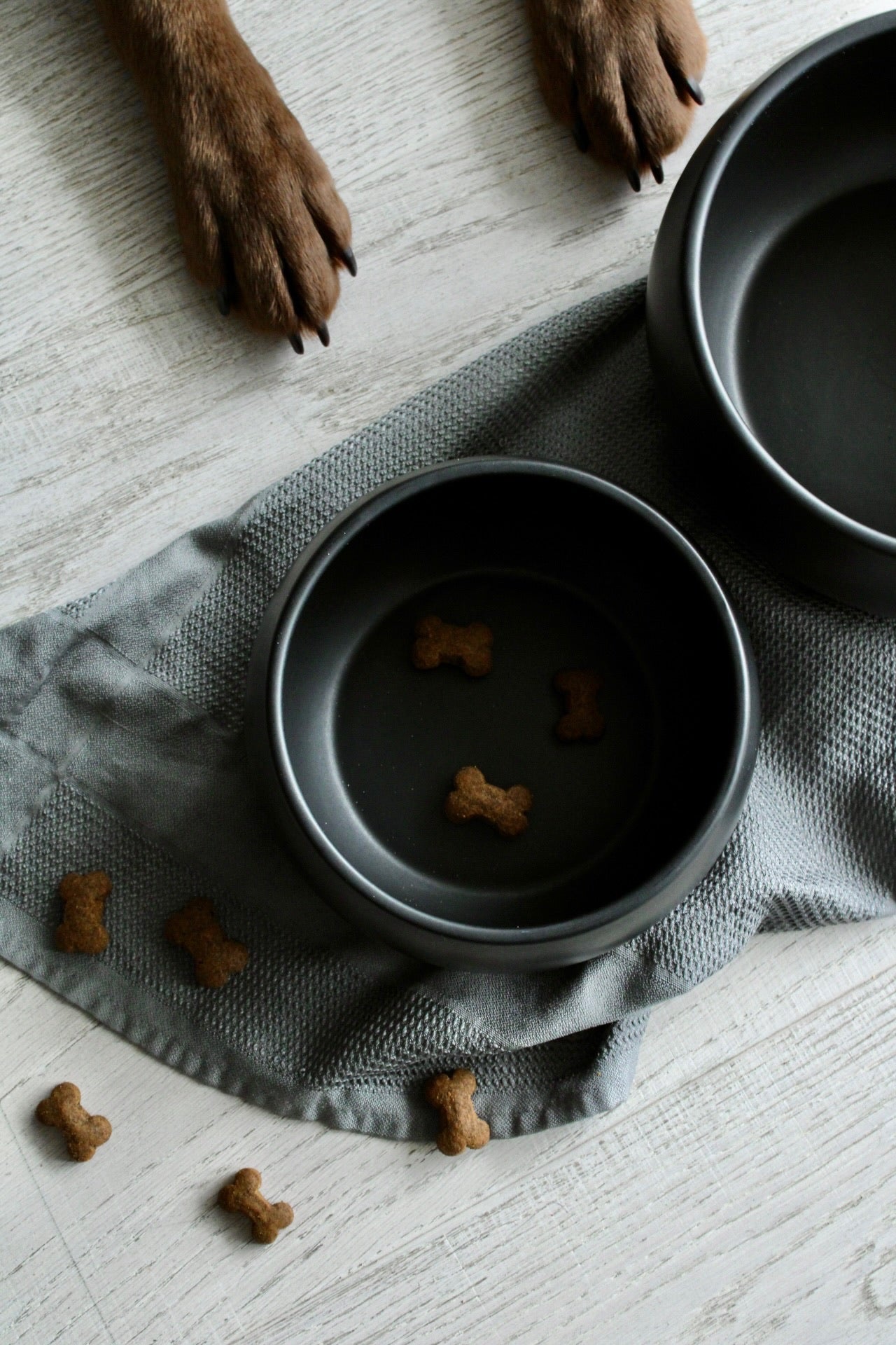schwarzer hundenapf aus keramik mit bauchiger form von hej.mo