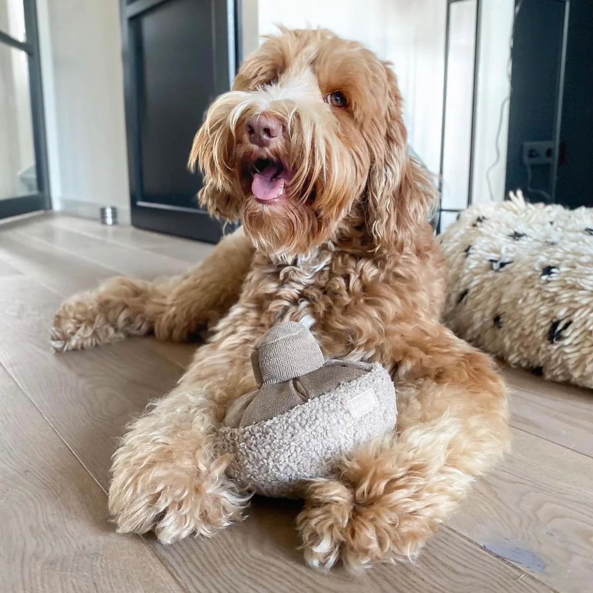 Hundespielzeug zum Schnüffeln | Plüsch Pilz