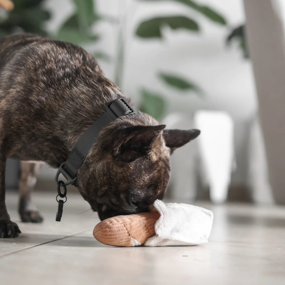 Hundespielzeug zum Schnüffeln | Plüsch Baguette Klein