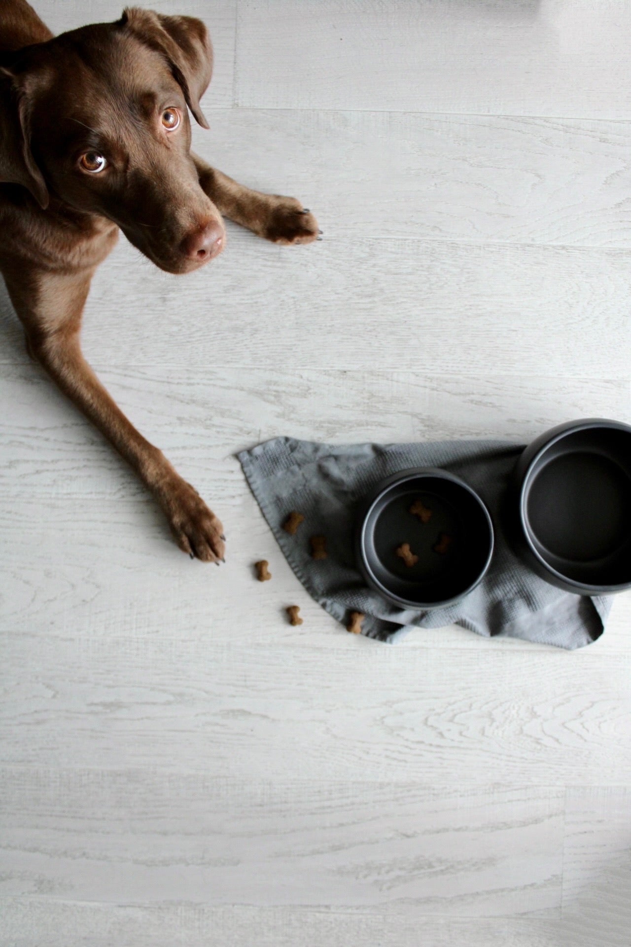 fressnaepfe in schwarz aus keramik in gross und klein