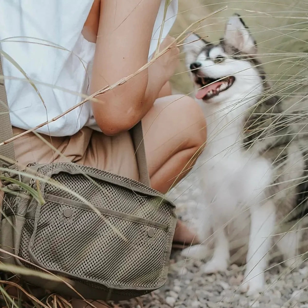 Unterwegs mit Hund – Halsbänder, Leinen & Zubehör