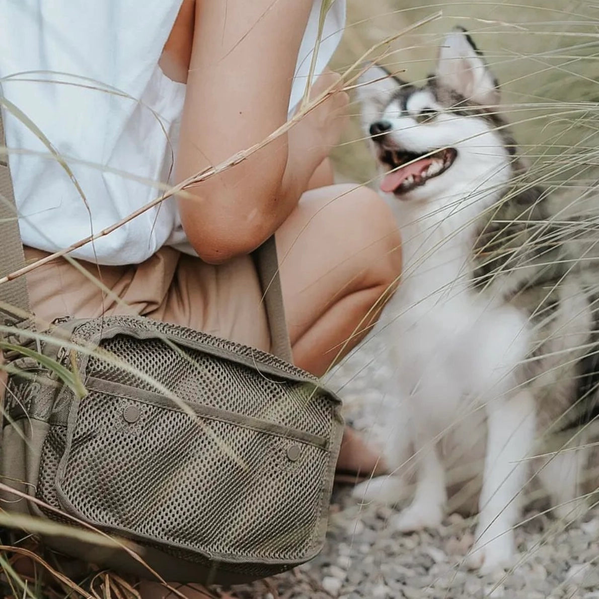 Leckerlitasche Forager | Beige