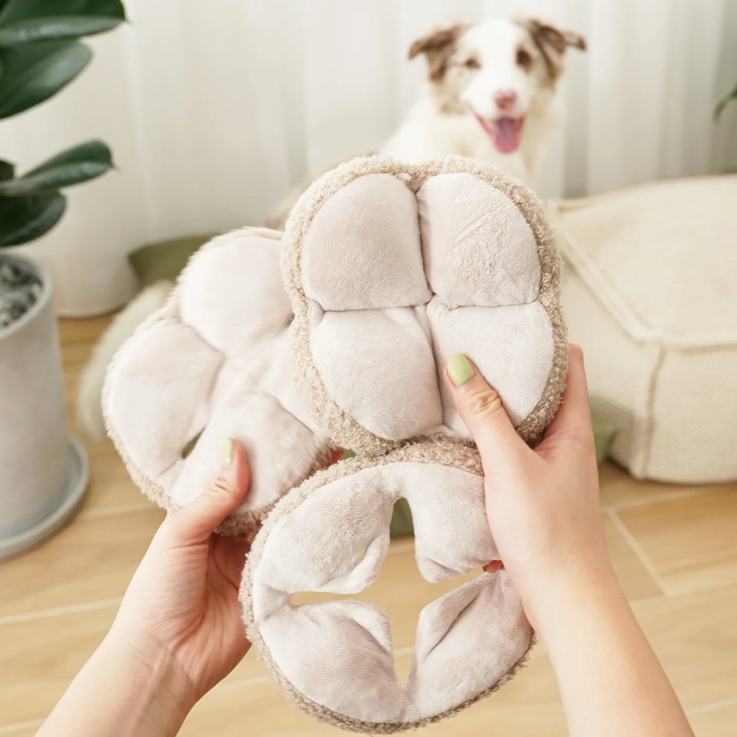 Hundespielzeug zum Schnüffeln | Schnüffelball Monti