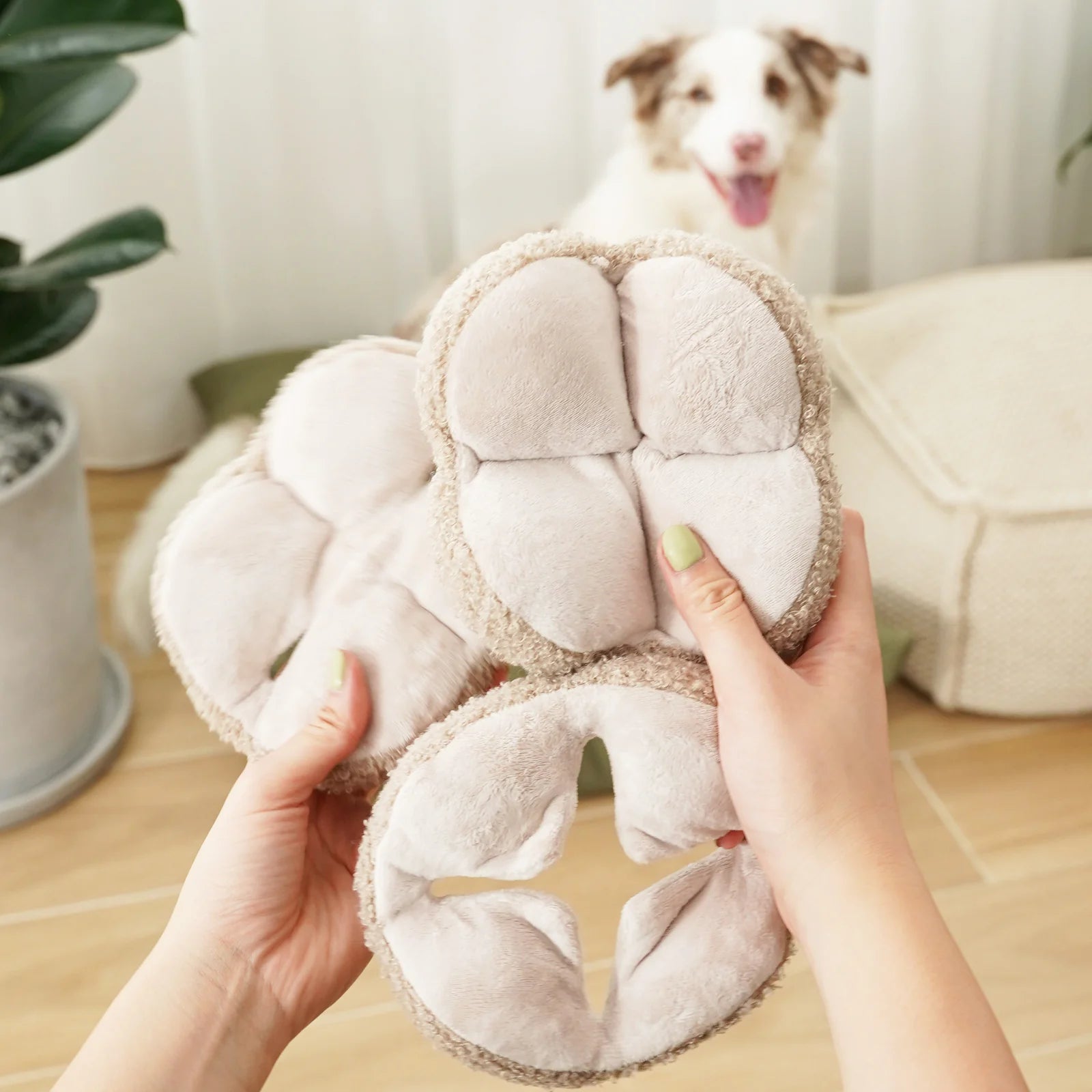 Hundespielzeug zum Schnüffeln | Schnüffelball Monti