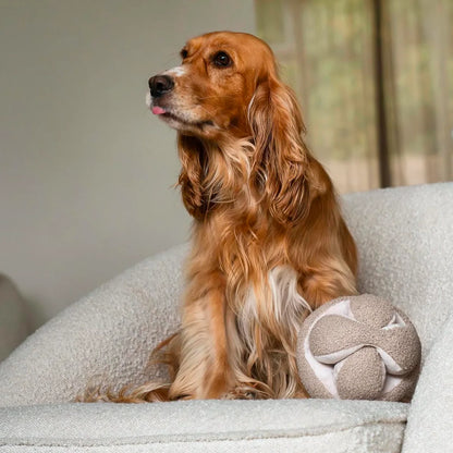 Hundespielzeug zum Schnüffeln | Schnüffelball Monti
