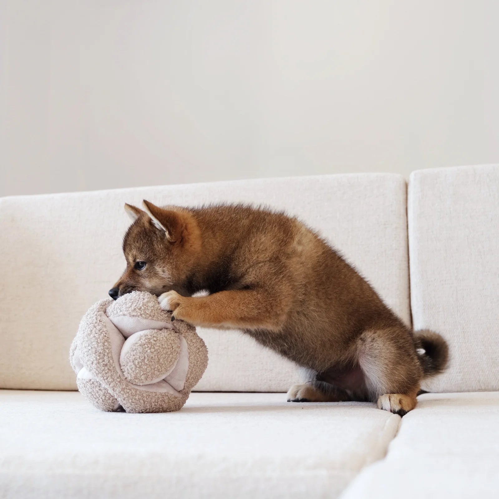 Hundespielzeug zum Schnüffeln | Schnüffelball Monti
