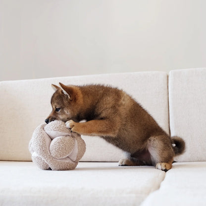Hundespielzeug zum Schnüffeln | Schnüffelball Monti